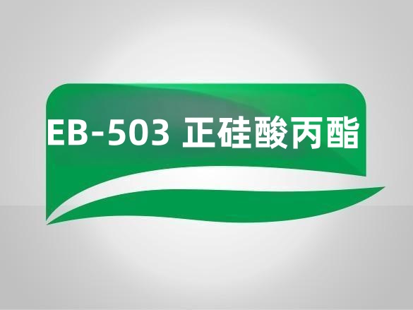 EB-503 正硅酸丙酯