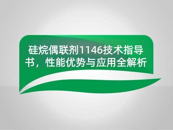 硅烷偶联剂1146技术指导书，性能优势与应用全解析